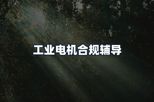 工业电机合规辅导