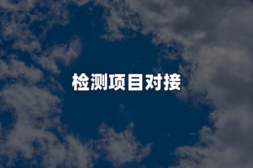 检测项目对接