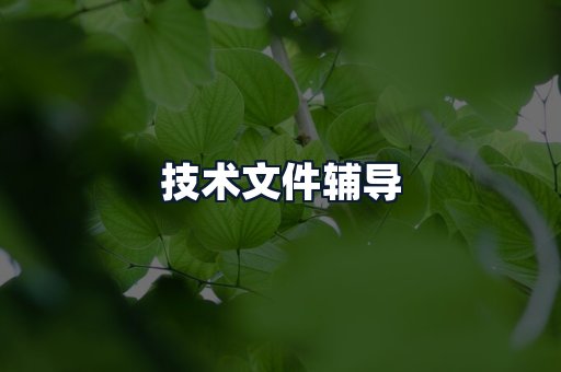 技术文件辅导